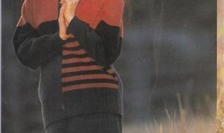 相见恨晚小说 相见恨晚小说